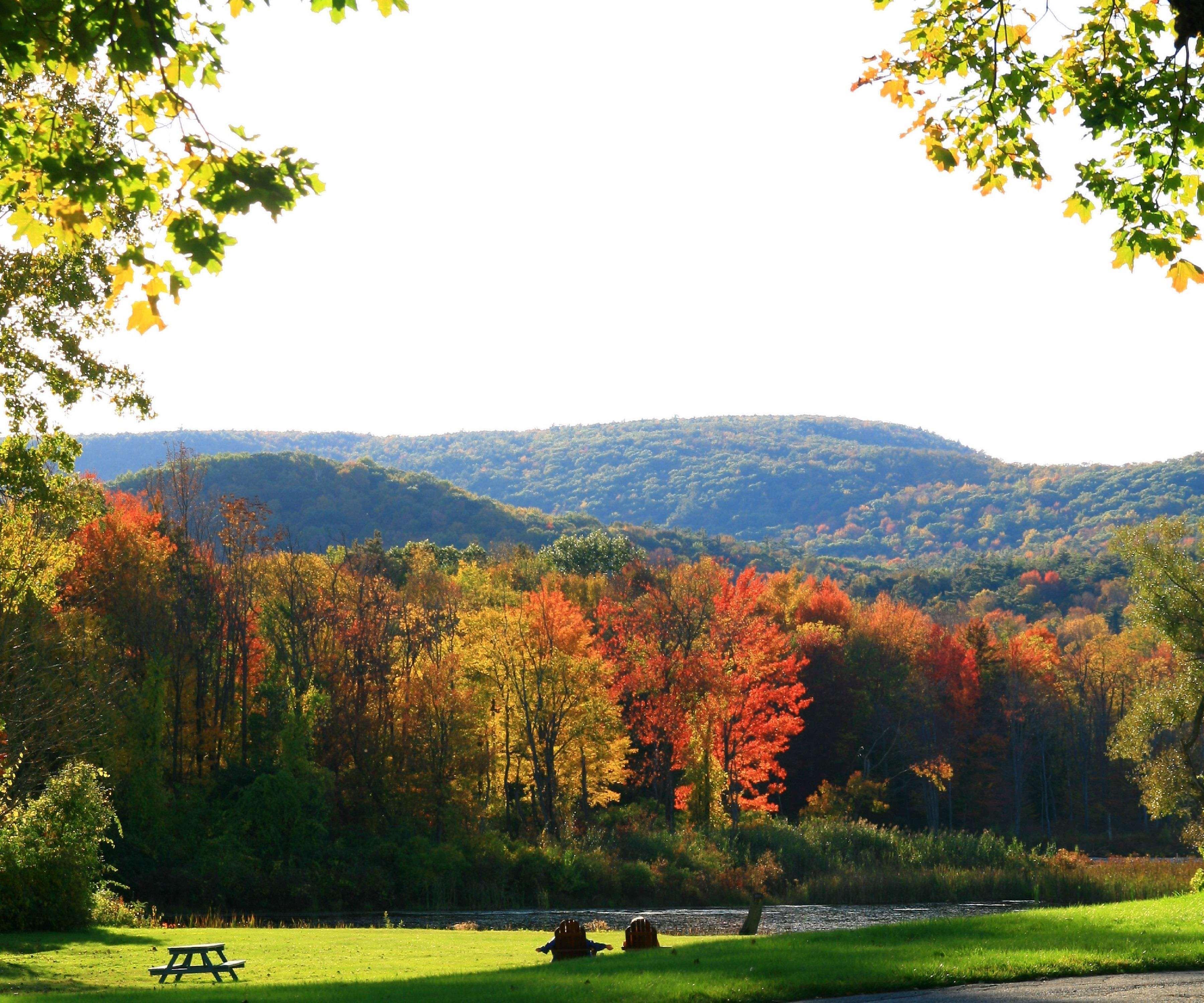 Hampton Inn & Suites Berkshires-Ленокс Екстер'єр фото