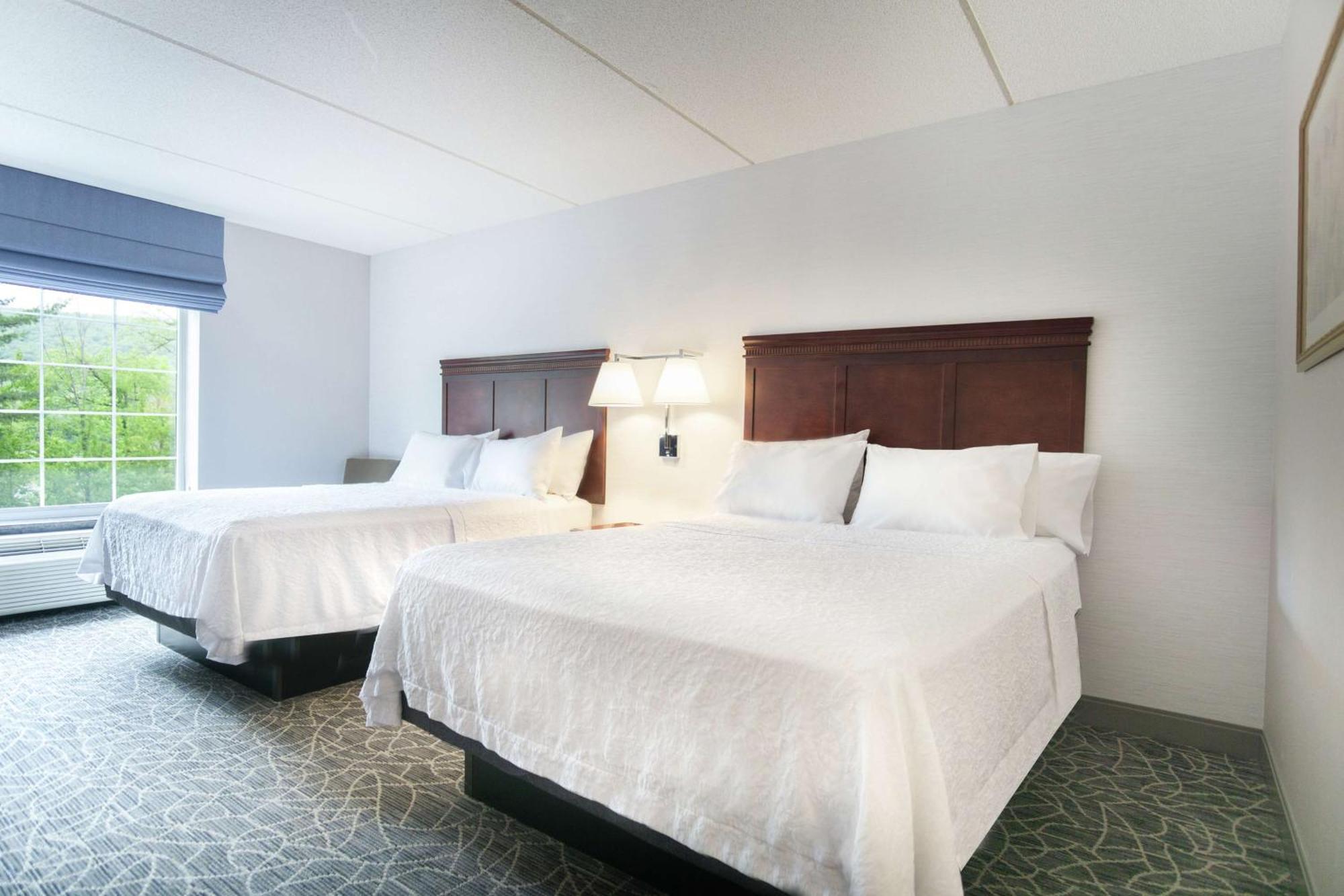 Hampton Inn & Suites Berkshires-Ленокс Екстер'єр фото